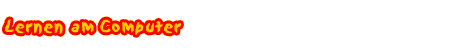 Lernen am Computer