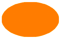 Zeig her Deine Ohren!