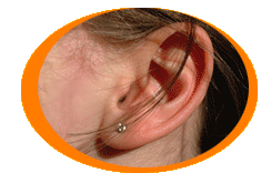 Zeig her Deine Ohren!