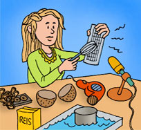 die Geräuscheküche